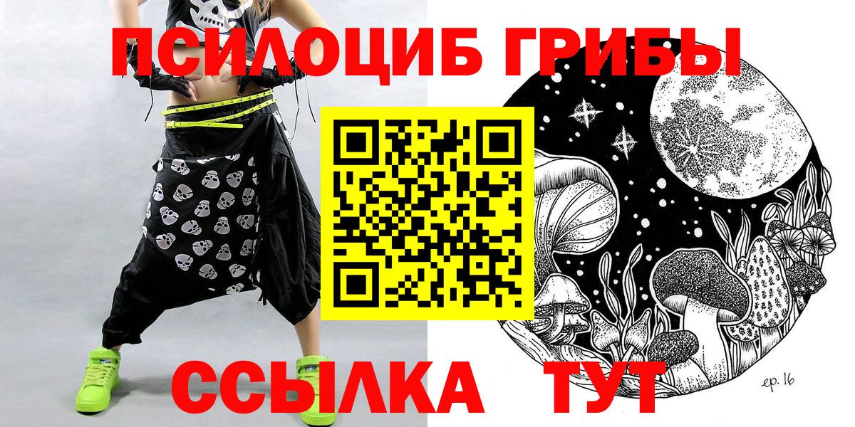 Омск  Псилоцибиновые грибы прущие грибы  Галлюциногенные грибы Psilocybine cubensis  Вход с VPN 